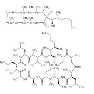 Dihydrocyclosporin A