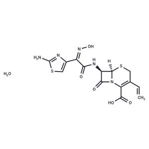 Cefdinir monohydrate