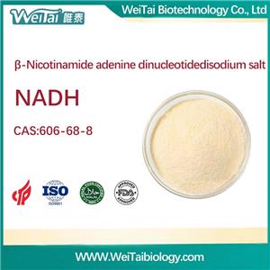 β-Nicotinamide adenine dinucleotide( NADH)