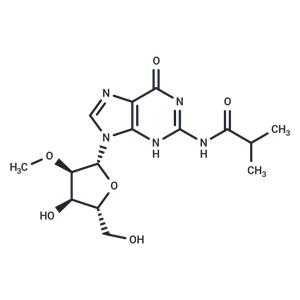 2'-O-Methyl-N2-isobutyroylguanosine