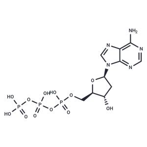 2'-Deoxyadenosine-5'-triphosphate