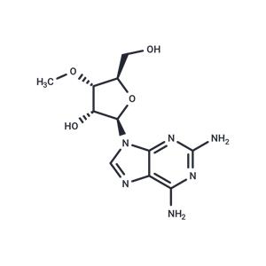 2-Amino-3'-O-methyladenosine