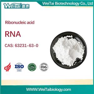 Ribonucleic Acid (RNA)