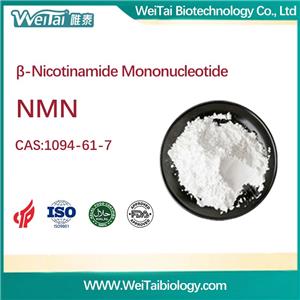 β-Nicotinamide Mononucleotide (NMN)