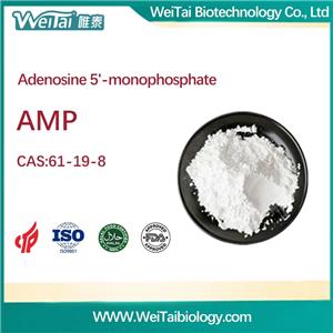 Adenosine 5'-monophosphate (AMP)