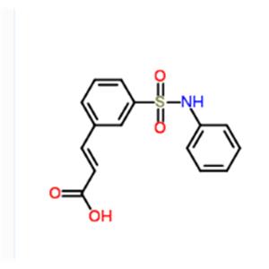 (2E)-3-[3-(Phenylsulfamoyl)phenyl]acrylic acid