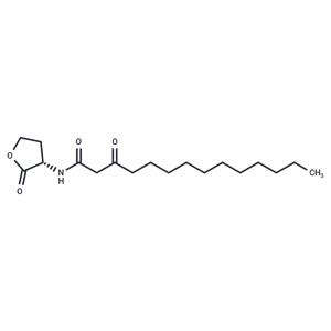 N-3-oxo-tetradecanoyl-L-Homoserine lactone