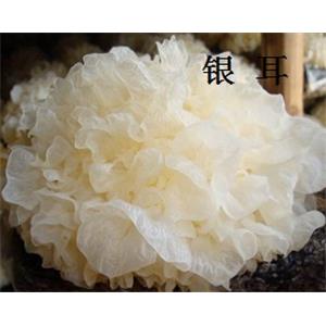 tremella polysaccharide