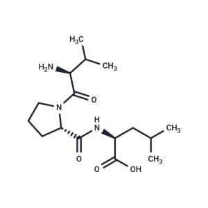 Diprotin B