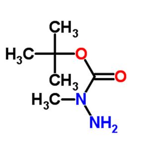 tert-Butyl 2-methylcarbazate