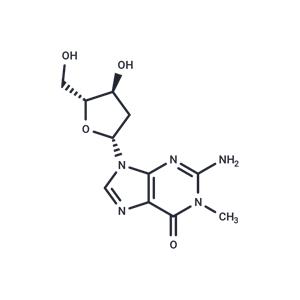 2'-Deoxy-N1-methylguanosine