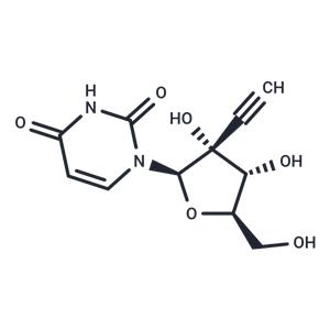 2'-beta-C-Ethynyluridine