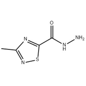 3-Methyl-1,2,4-thiadiazole-5-carboxylic acid hydrazide