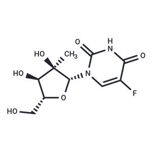 2'-C-methyl-5-fluorouriddine