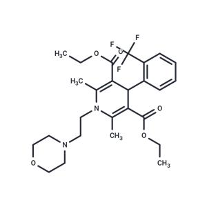 Flordipine