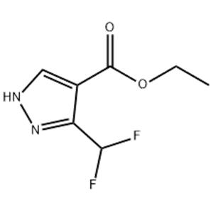 ETHYL 3-(DIFLUOROMETHYL)-1H-PYRAZOLE-4-CARBOXYLATE