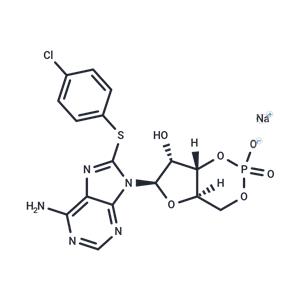 8-CPT-Cyclic AMP sodium