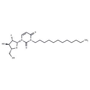 2'-Deoxy-2'-fluoro-N3-(n-dodecyl)-beta-D-arabinouridine