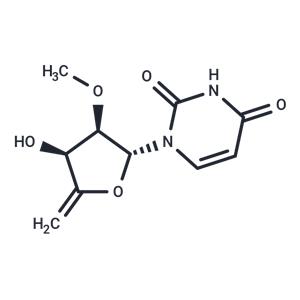 4',5'-Didehydro-5'-deoxy-2'-O-methyluridine