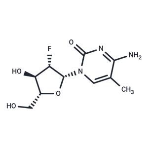 2'-Deoxy-2'-fluoro-5-methyl-arabinocytidine