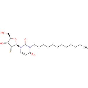 2'-Deoxy-2'-fluoro-N3-(n-docecyl)uridine