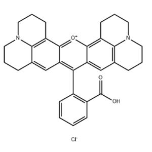 Rhodamine 101 chloride