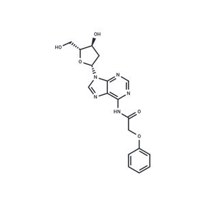 2'-Deoxy-N6-Phenoxyacetyladenosine