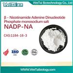1184-16-3 β-Nicotinamide adenine dinucleotide phosphate sodium salt(NADP-Na)