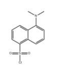 605-65-2 Dansyl chloride
