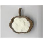 121808-62-6 Pidotimod