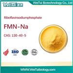 130-40-5 Riboflavin-5-phosphate sodium （FNM）