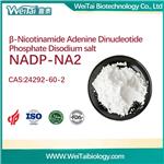 24292-60-2 β-Nicotinamide Adenine Dinuclotide Phosphate disodium salt (NADP-NA2)