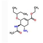 196618-13-0 Oseltamivir