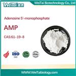 61-19-8 Adenosine 5'-monophosphate (AMP)