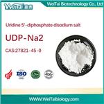 27821-45-0 Uridine 5’-diphosphate disodium salt (UDP- Na2)