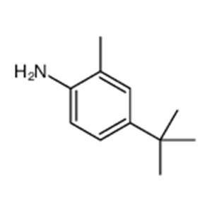4-tert-butyl-o-toluidine