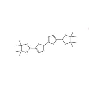 2,2'-Bithiophene-5,5'-diboronic acid bis(pinacol) ester