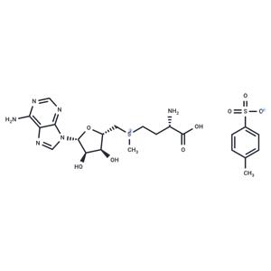 S-Adenosyl-L-methionine tosylate