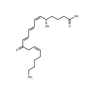 12-oxo Leukotriene B4