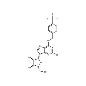 2'-Chloro-N6-(4-trifluoromethyl)benzyl ? adenosine