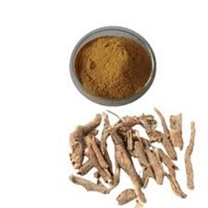 Siberian Ginseng Extract