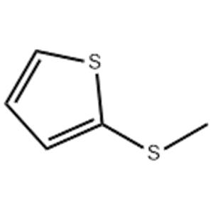 2-(METHYLTHIO)THIOPHENE