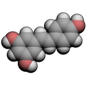 Resveratrol