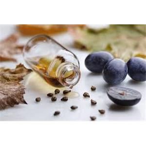 Grape Seed Extract