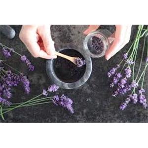 Lavender Extract