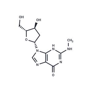 2'-Deoxy-N2-methylguanosine