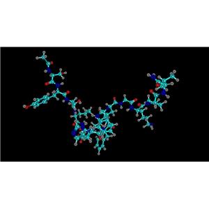 Cagrisema（Cagrilintide/semaglutide）