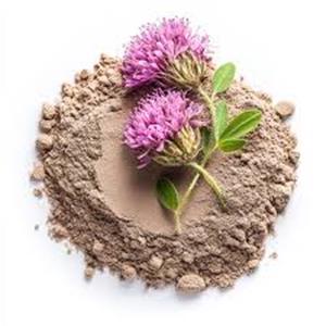 Red Clover Extract