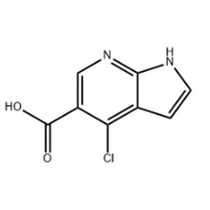 1H-Pyrrolo[2,3-b]pyridine-5-carboxylic acid, 4-chloro-