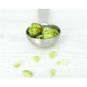Hops Extract